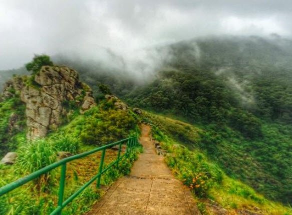Needle Rock View Point, Nilgiris, Tamil Nadu - Vushii.com Needle Rock View Point, Nilgiris, Tamil Nadu - Vushii.com